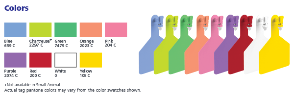 ZTAG_Z1_Colors-Example